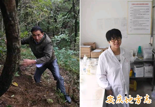 郑朝阳、郑毓（2017年安庆新闻人物）